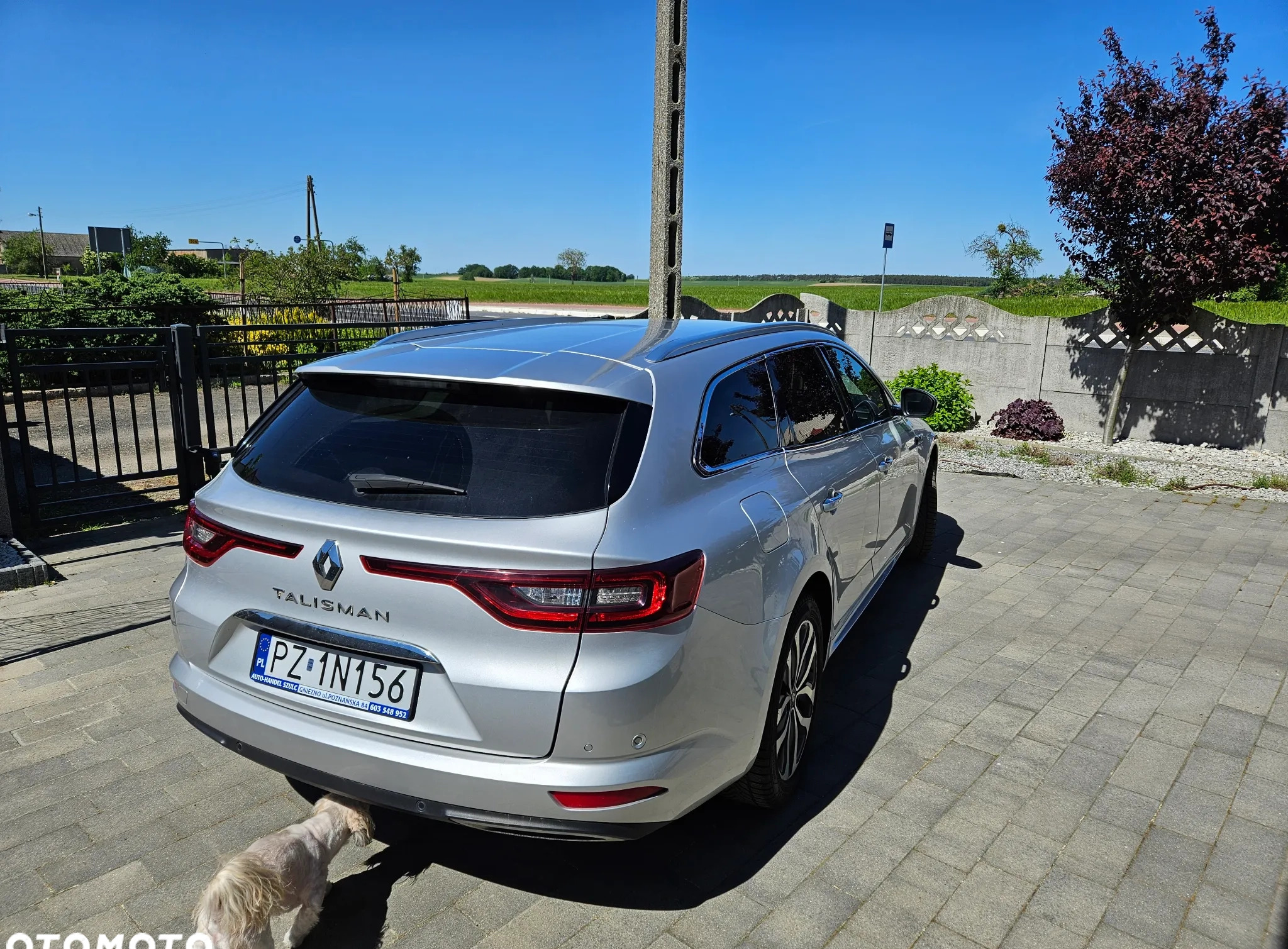 Renault Talisman cena 57000 przebieg: 111410, rok produkcji 2016 z Węgrów małe 742